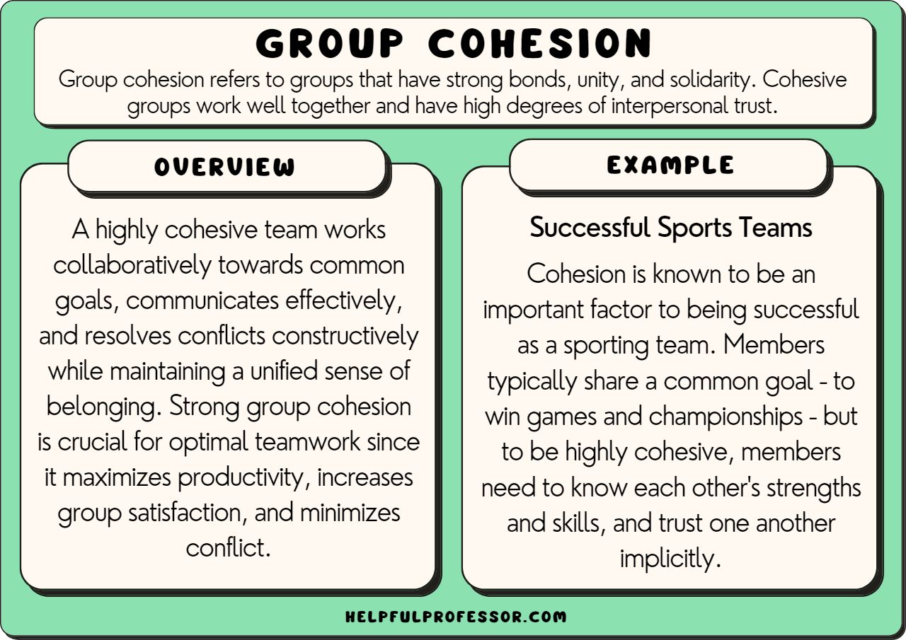 Group Cohesion: Definition and 10 Examples (2025)
