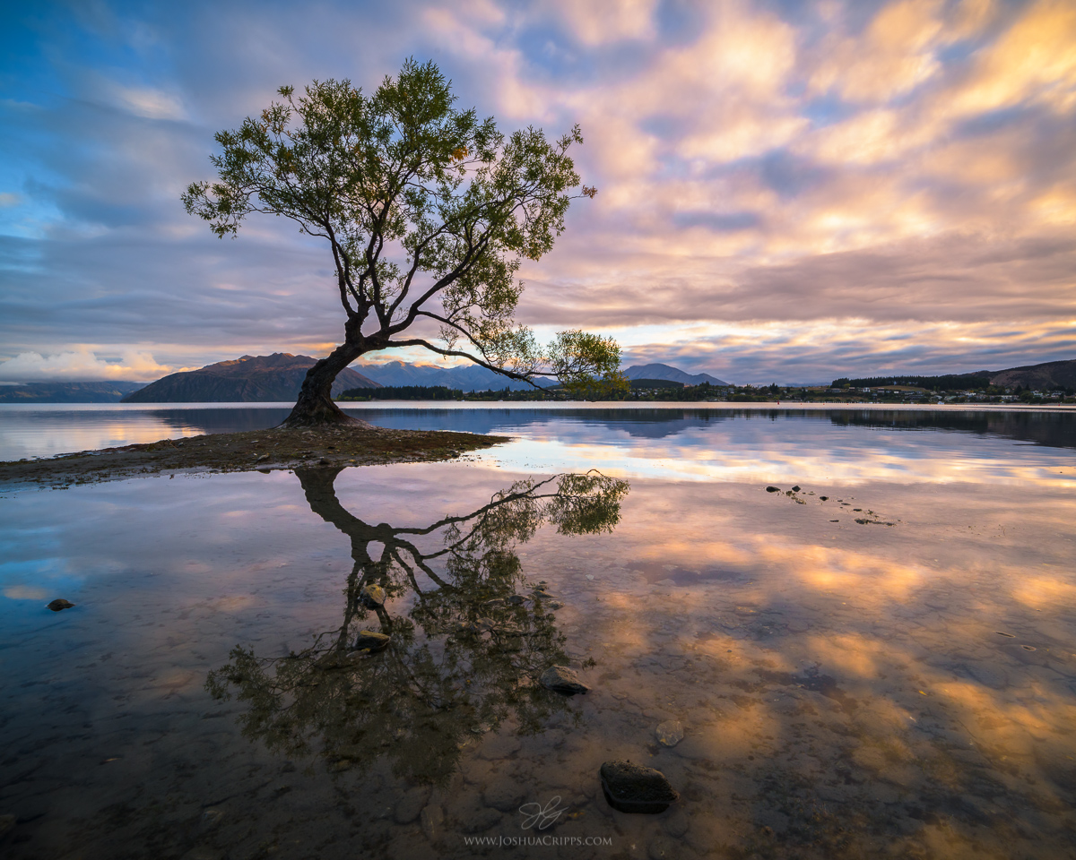 Reflection