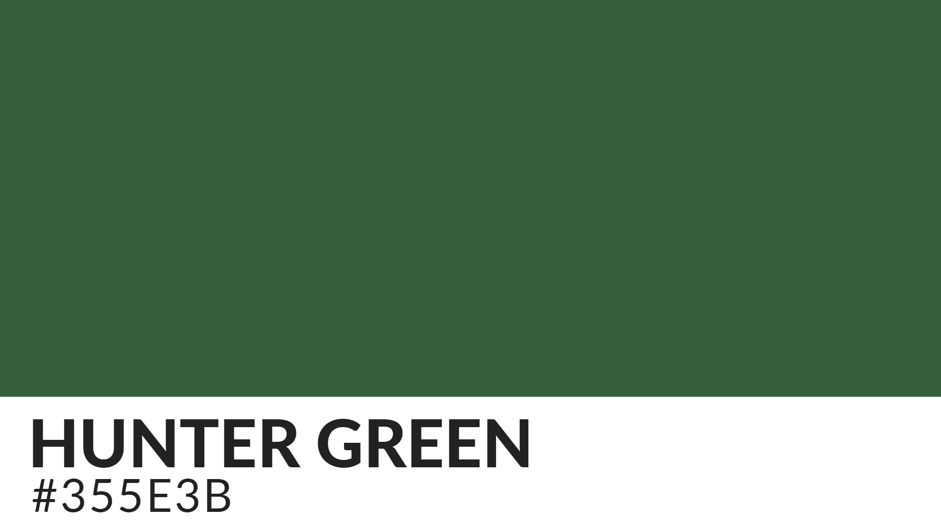 Into the Woods: Embracing the Rich and Elegant Hunter Green Color | HipFonts