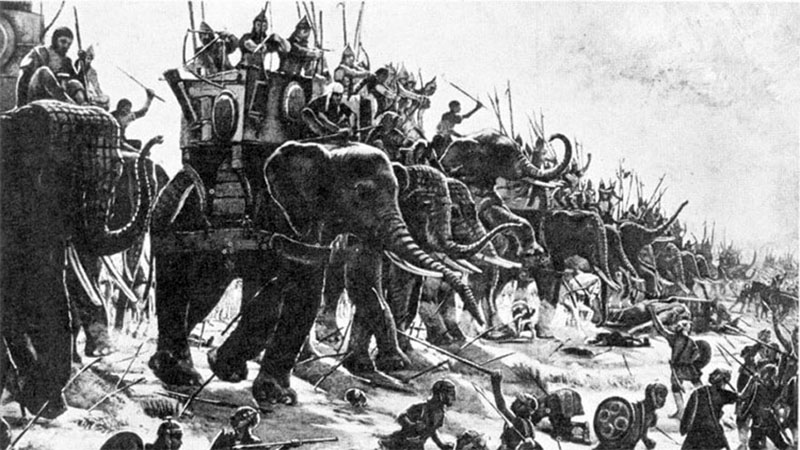 Kalinga War - History Of Odisha