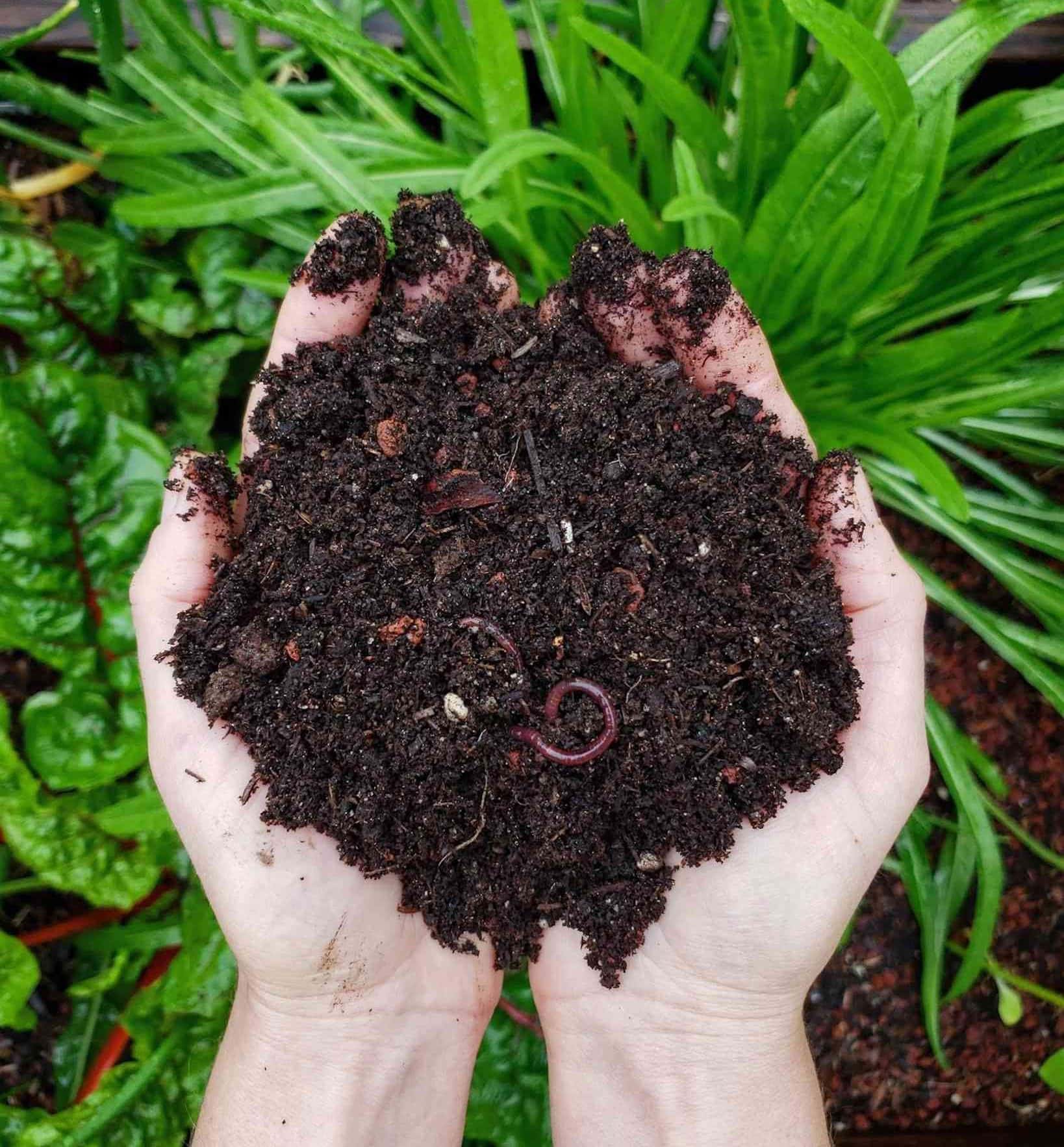Composting 101: What, Why & How To Compost At Home ~ Homestead And Chill