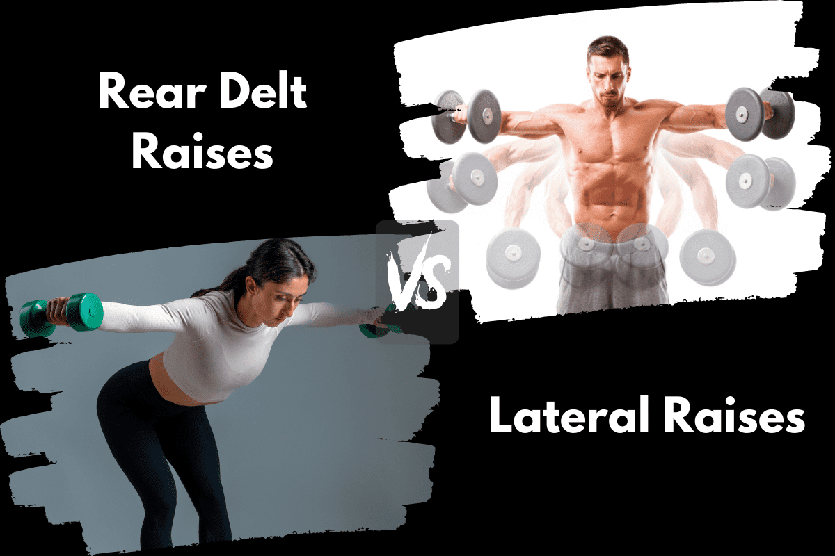 Rear Delt Raise vs Lateral Raise (What’s the Difference?) – Horton Barbell