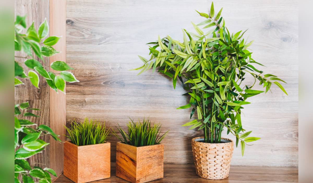Decorating Living Room With Artificial Plants | Cabinets Matttroy