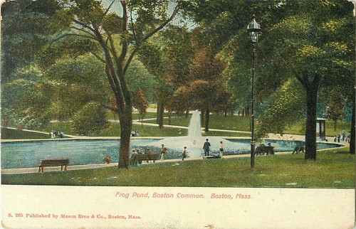 Postcard Frog Pond, Boston Common, Boston, MA | eBay
