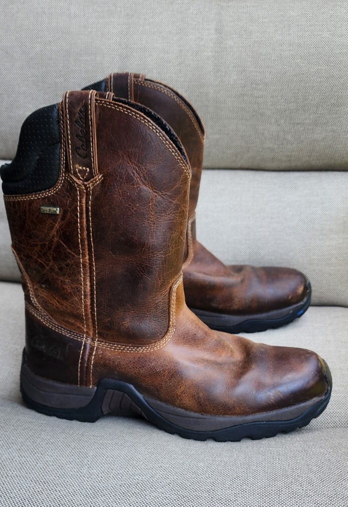 Cabelas Roughneck Ledger Mens - Gem