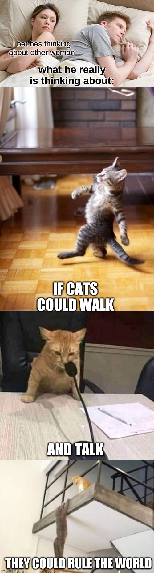 Image tagged in memes,i bet he&#39;s thinking about other women,cool cat stroll,cat conference,the ...