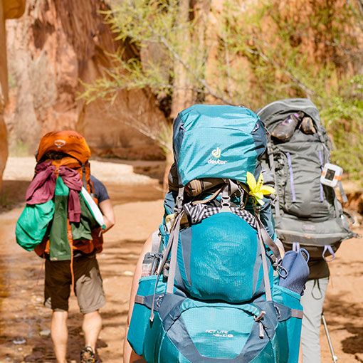 Backcountry (backcountrycom) | Official Pinterest Account