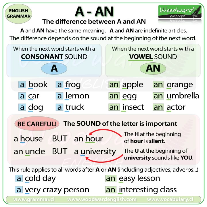An Interactive Activity For Students To Learn How To Read And Understand The Words In Each Language