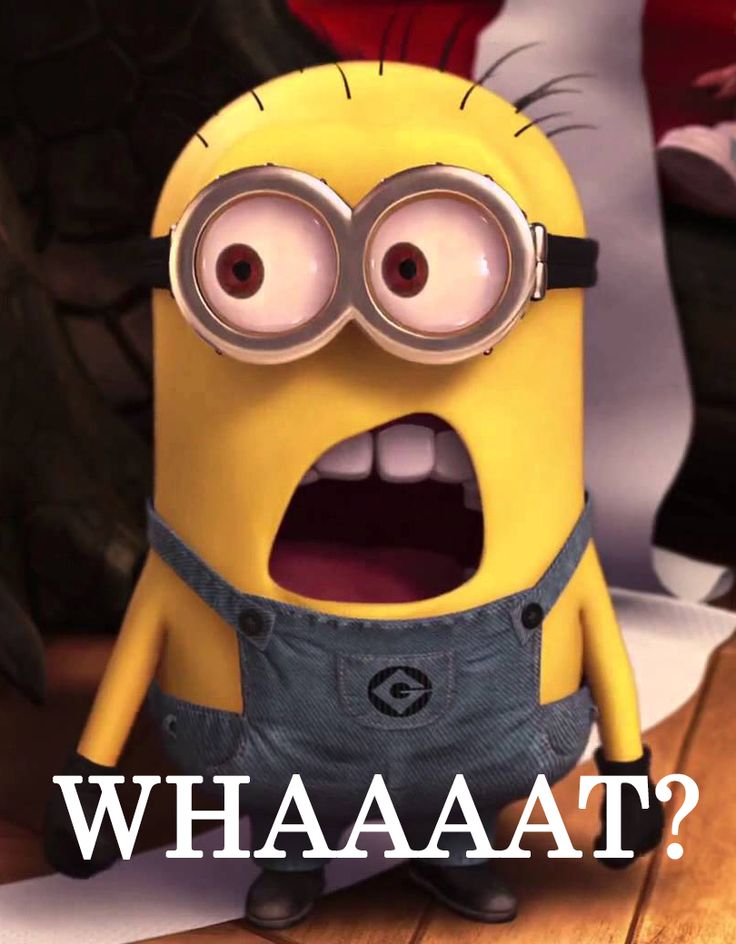 Whaaat? | Humor De Minions, Frases De Minions, Cosas De Minion
