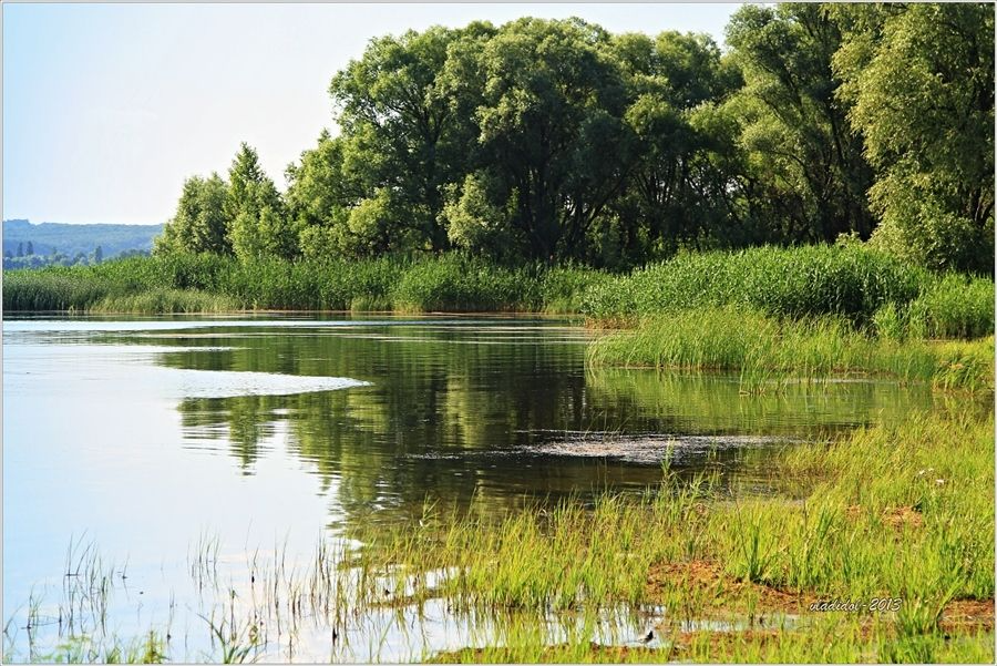 Landscape Photography: Stunning Nature Scenes