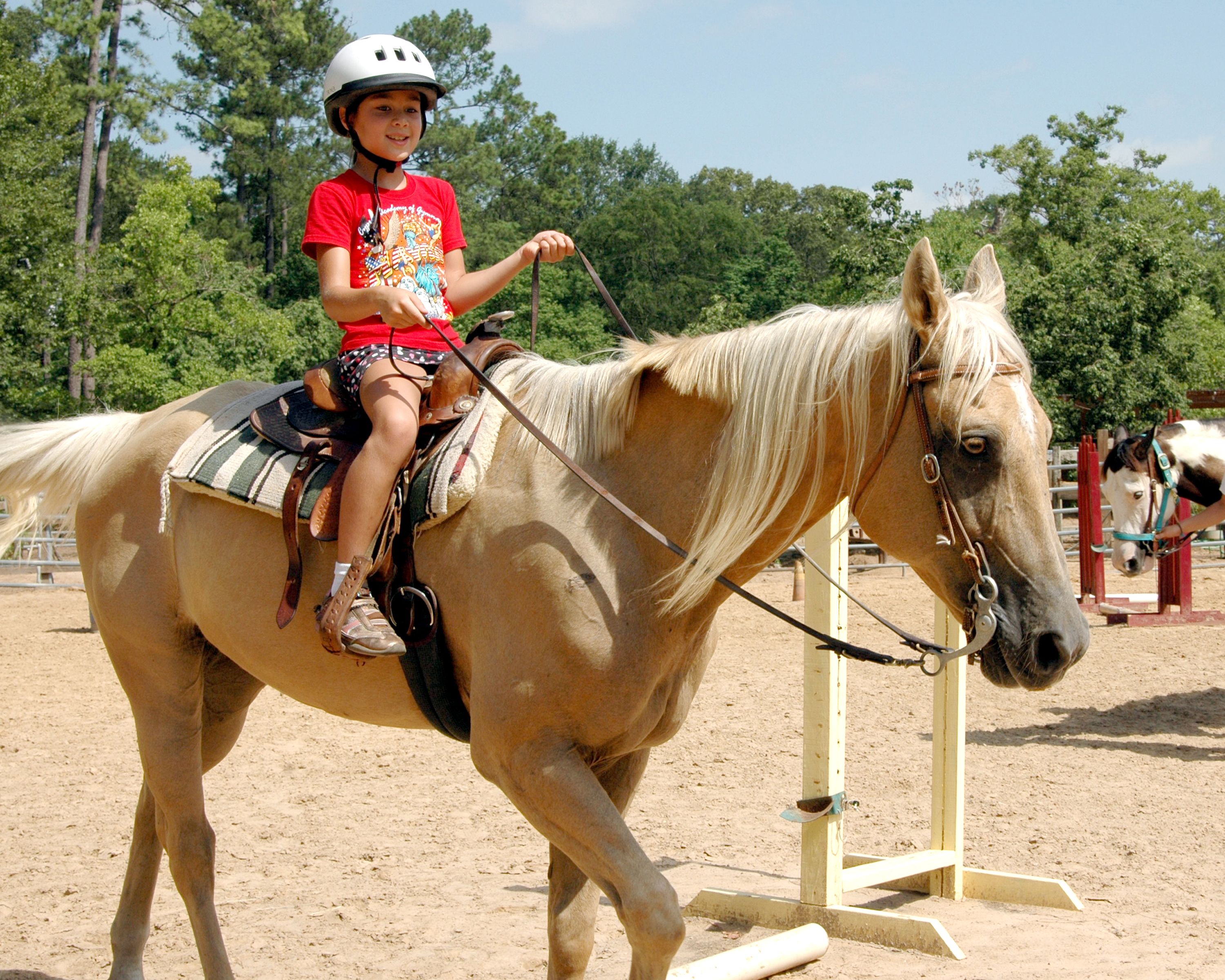 Learning How To Ride A Horse Can Be An Exciting And Fulfilling Experience. | Horses, Horse ...