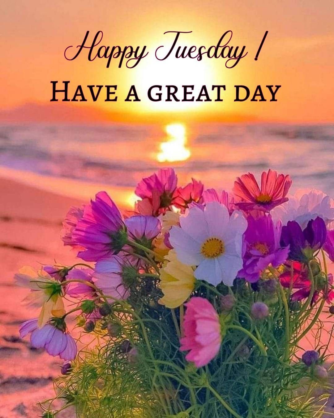 Happy Tuesday