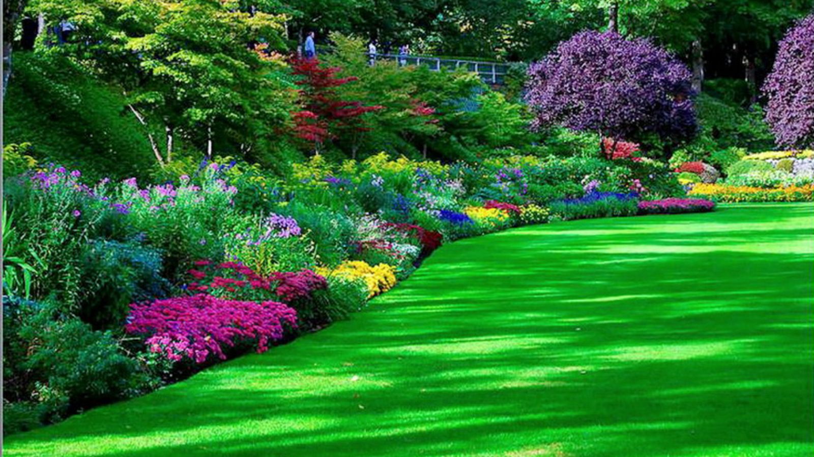 Lawn & Garden | Shopswell | Garden, Garden Care, Beautiful Gardens