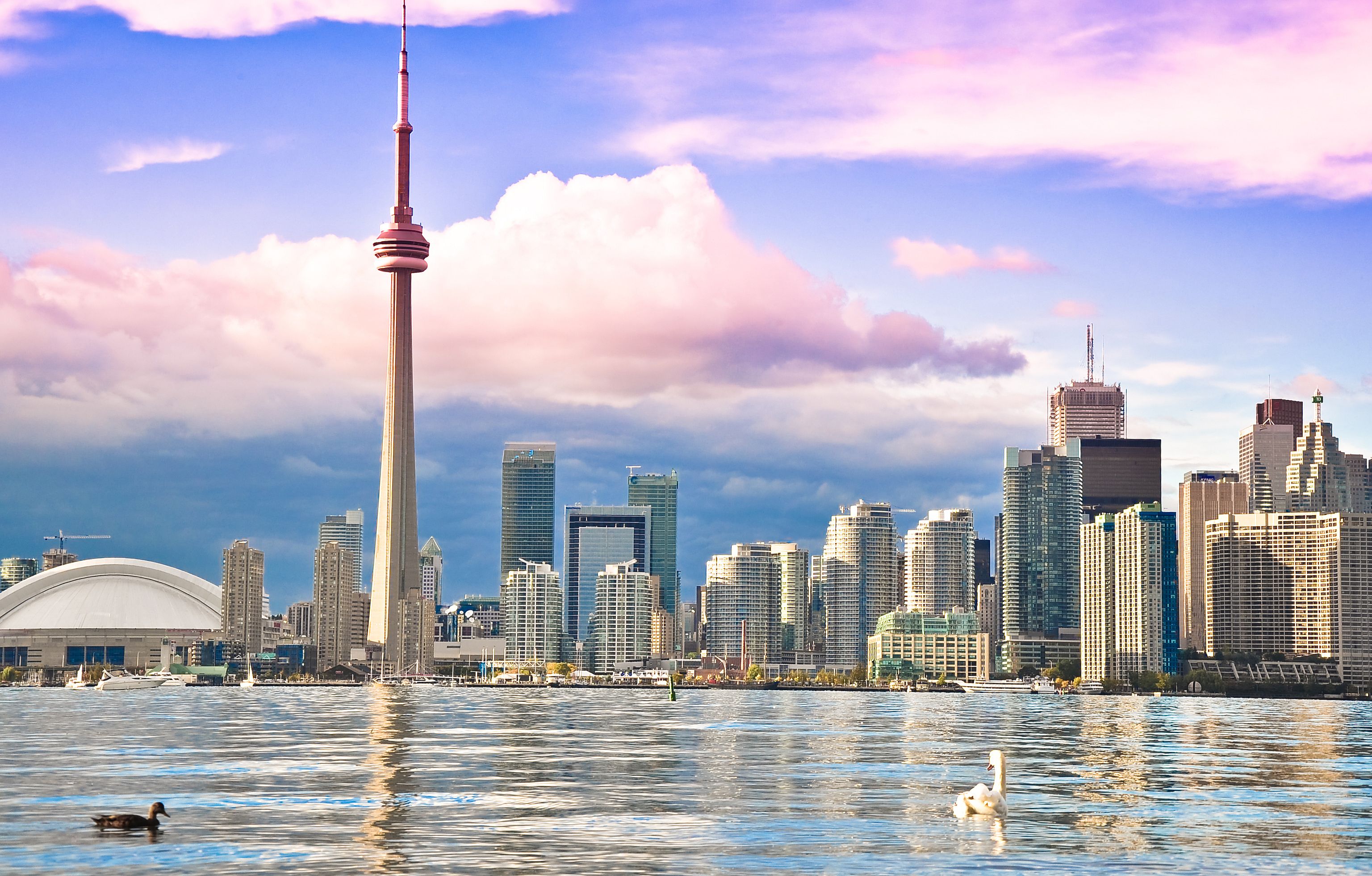 Nous Avons Déniché Les 40 Meilleures Attractions Touristiques à Toronto Que Vous Devez ...