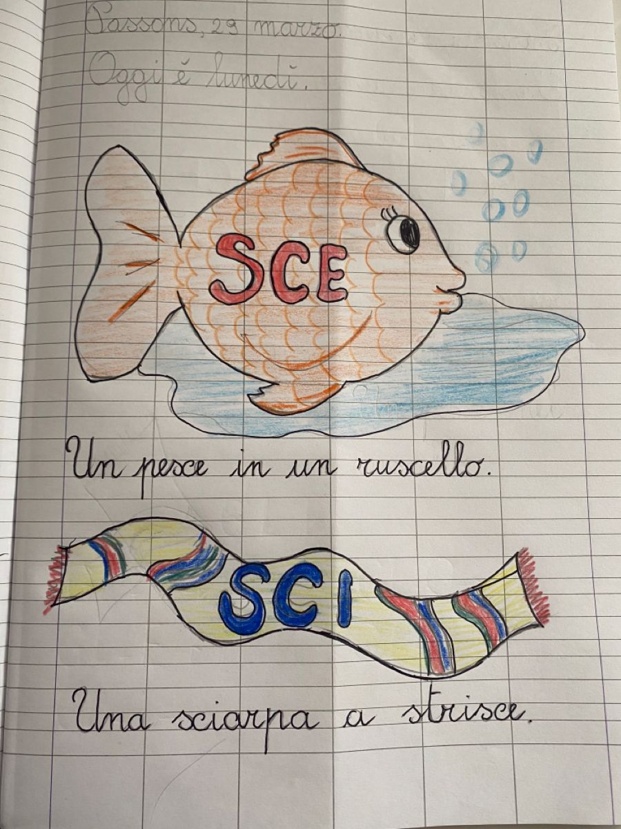 La Storia Della Scimmia Natascia I Suoni Sci Sce Scie Classe Prima Seconda – Artofit