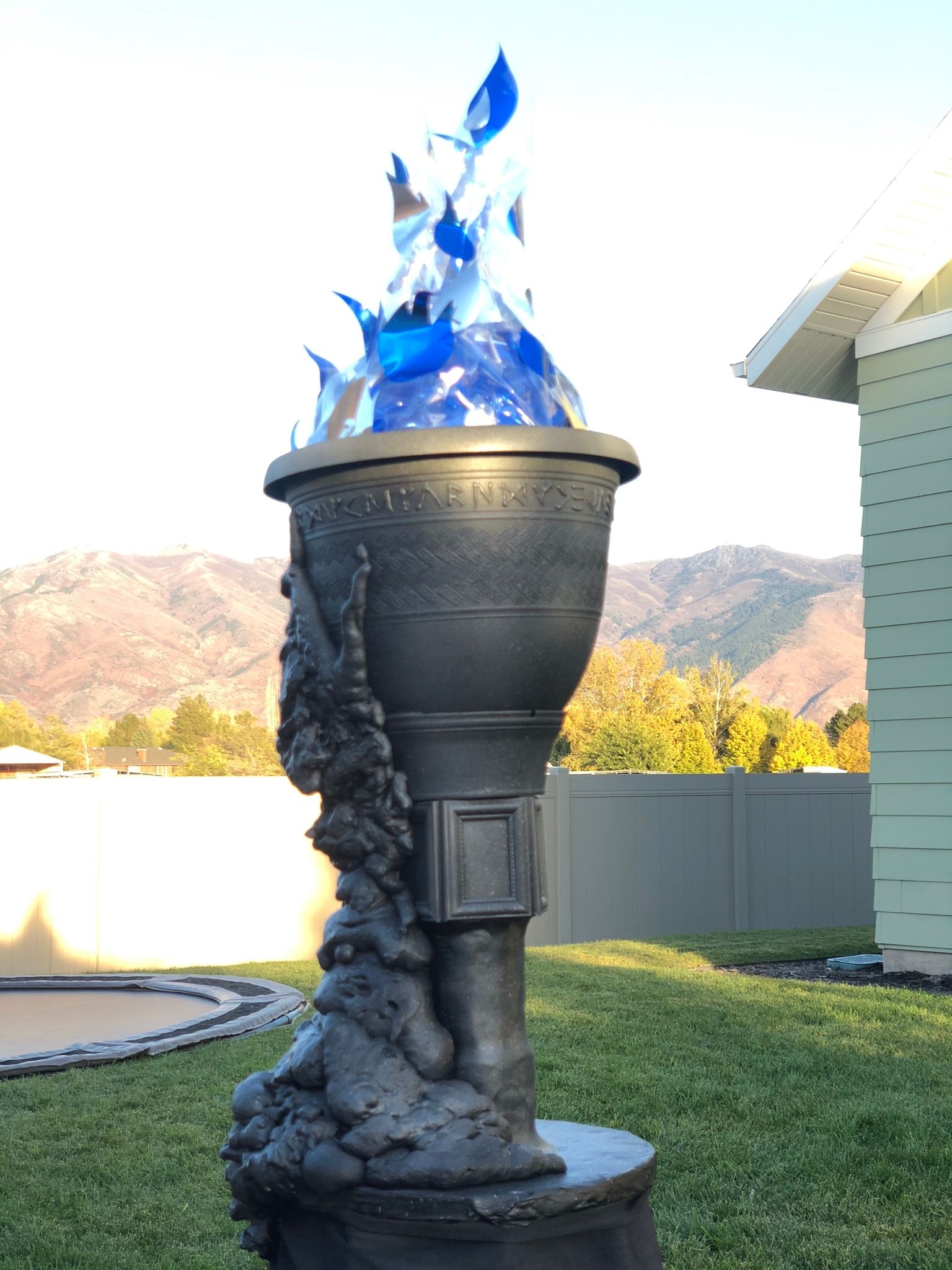 Diy Goblet Of Fire And Durmstrang Costumes – Artofit