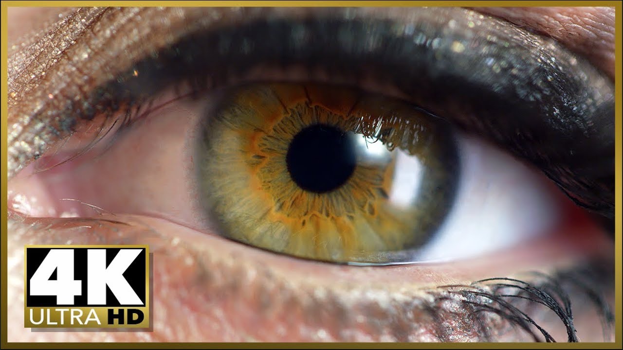 4K Ultra HD Video: Stunning Video Quality. Best 4K Video Resolution Retail Display Demo - YouTube