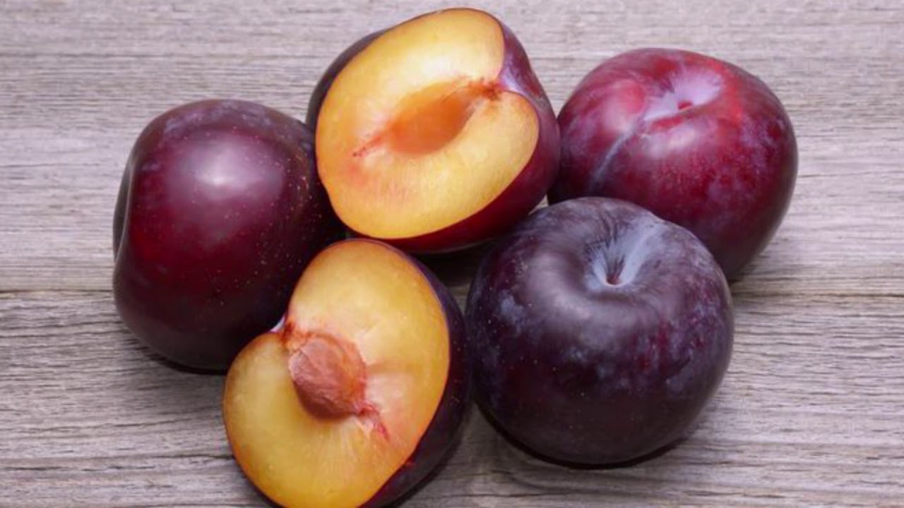 Plum Daily (Day 171) - YouTube