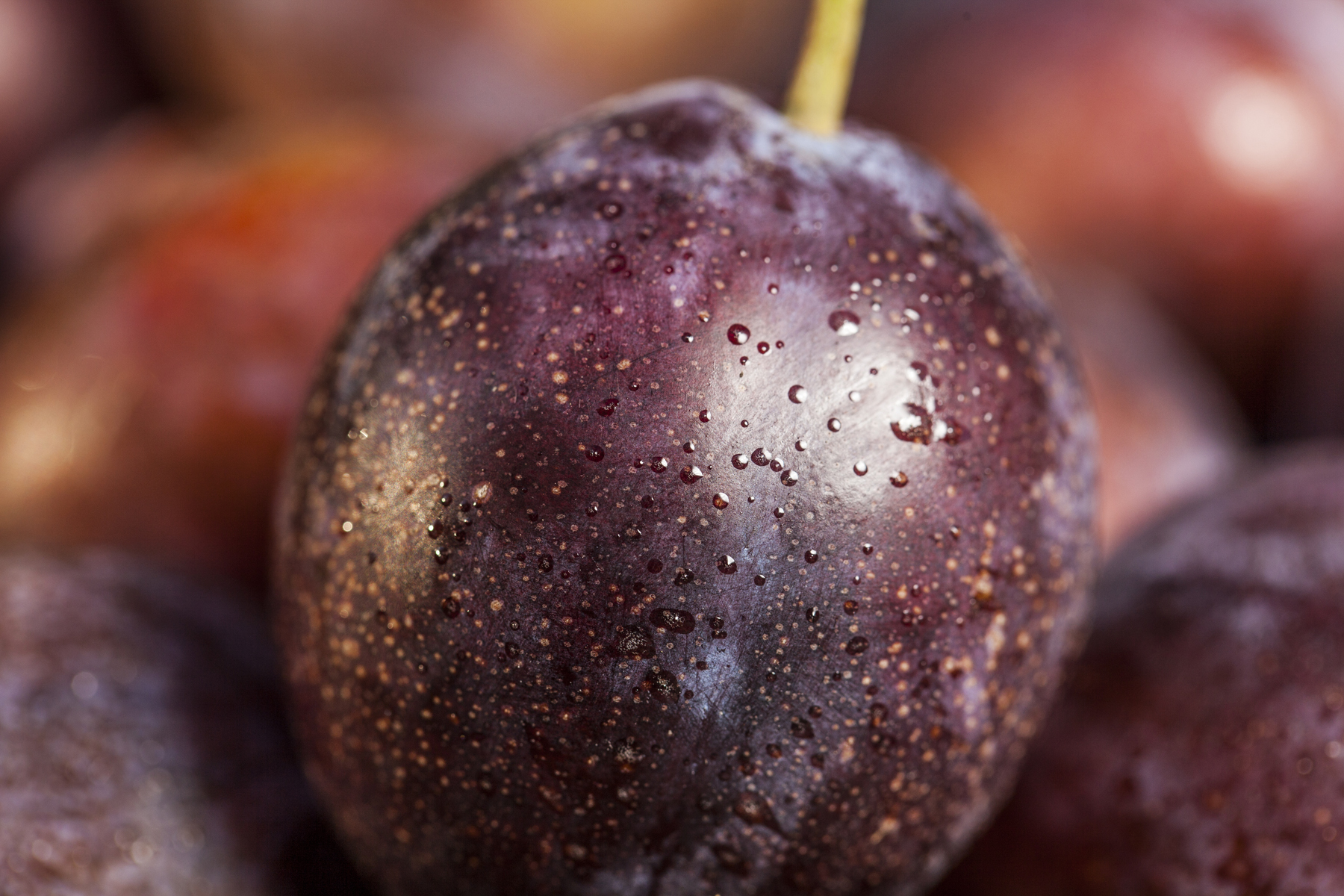 California Dried Plums - The Whole Package