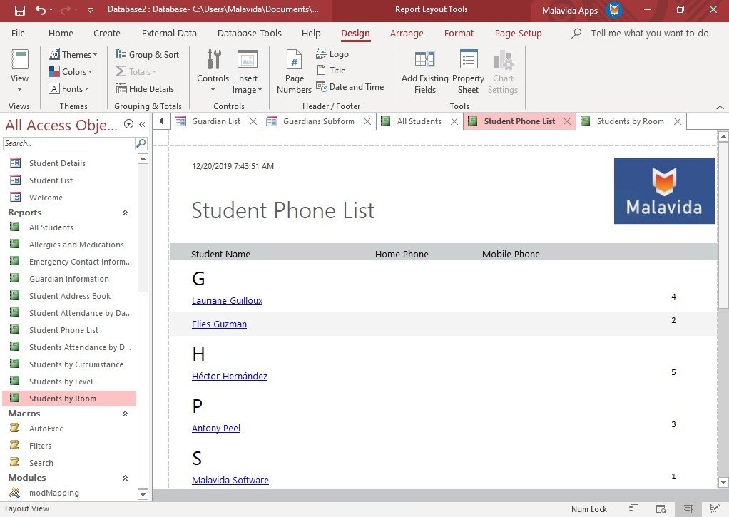 Microsoft Database Software