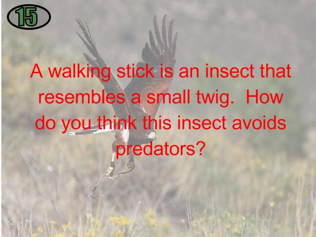 1.3 Interactions Among Living Things| ODP
