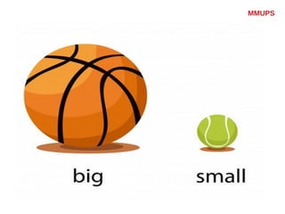 Big and small pictures | PPT