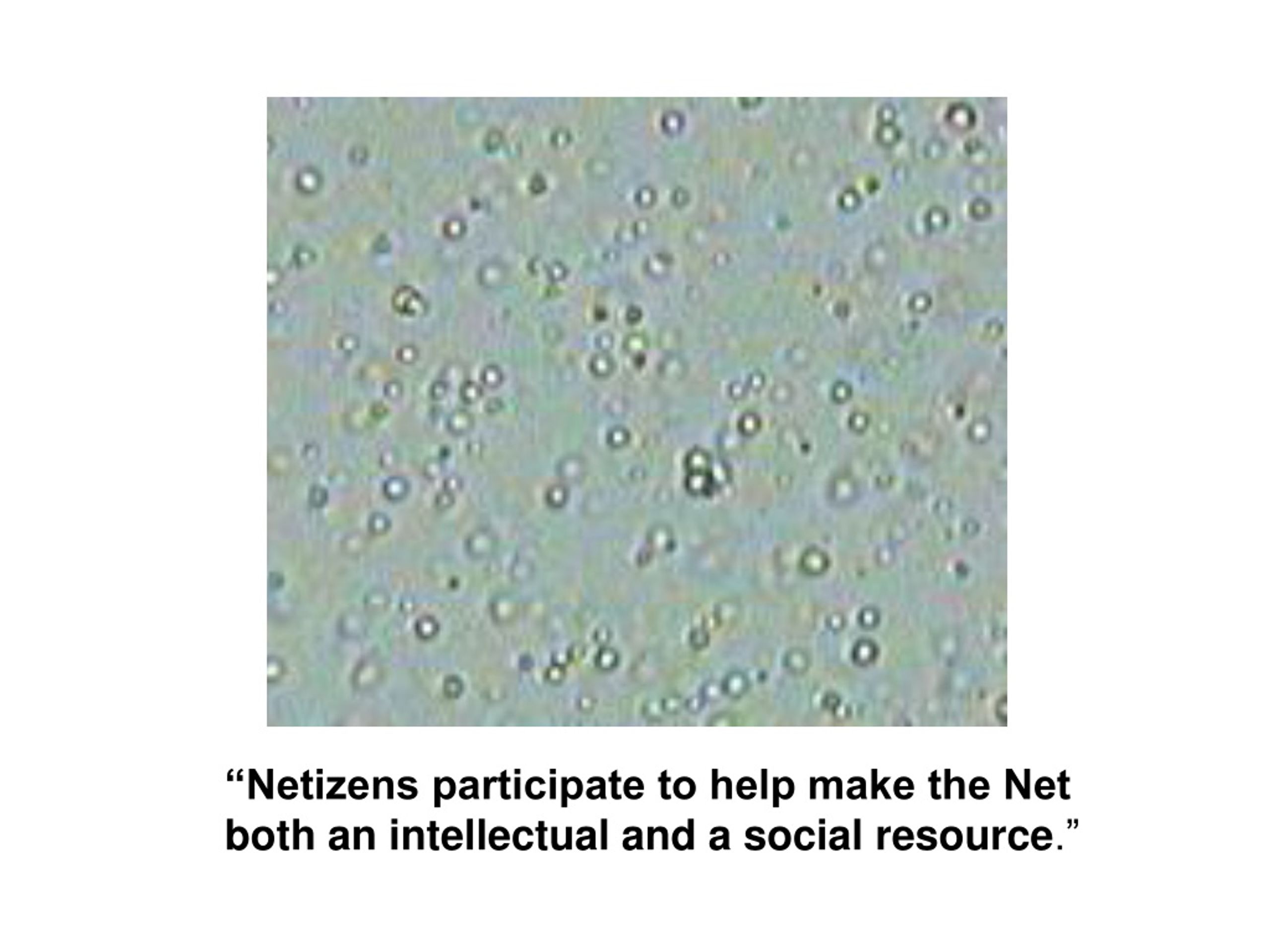 Netizens Meaning