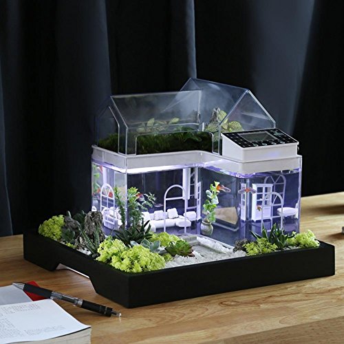 Acrylic Mini Micro Landscape Aquarium Office Desk Small Personal Ecology Multifunctional Living ...