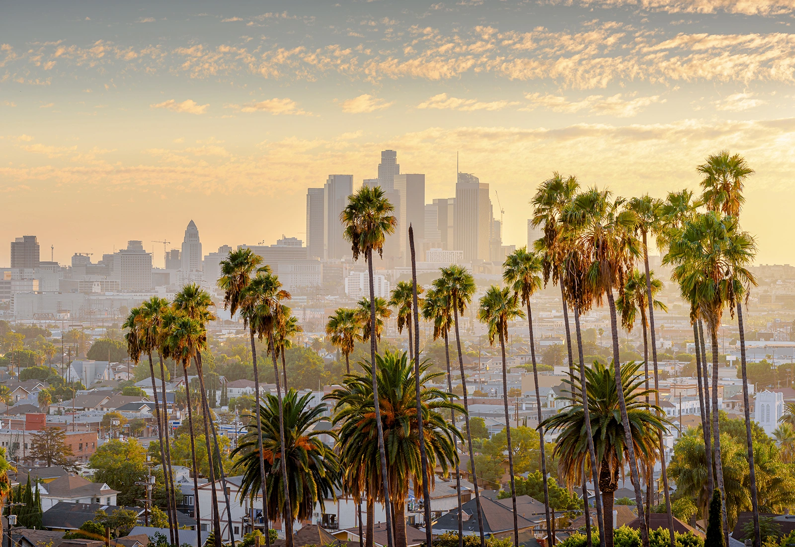 The Best Things To Do In LA