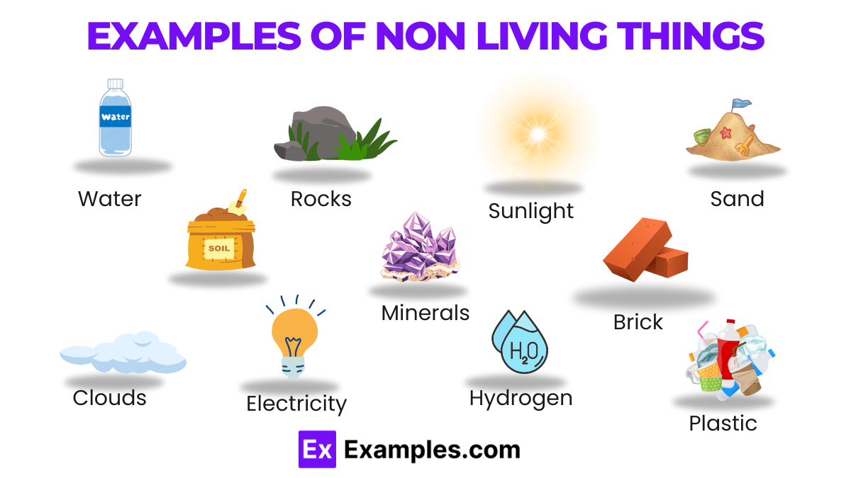 30+ Nonliving Things Examples
