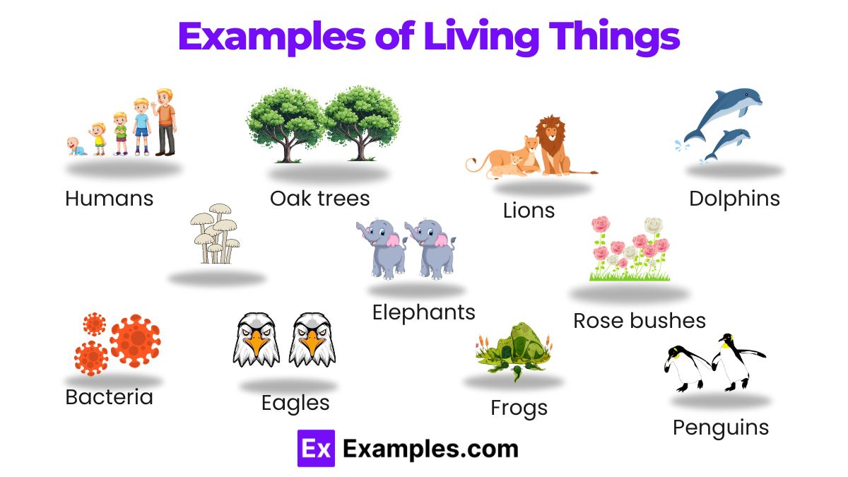 30+ Living Things Examples