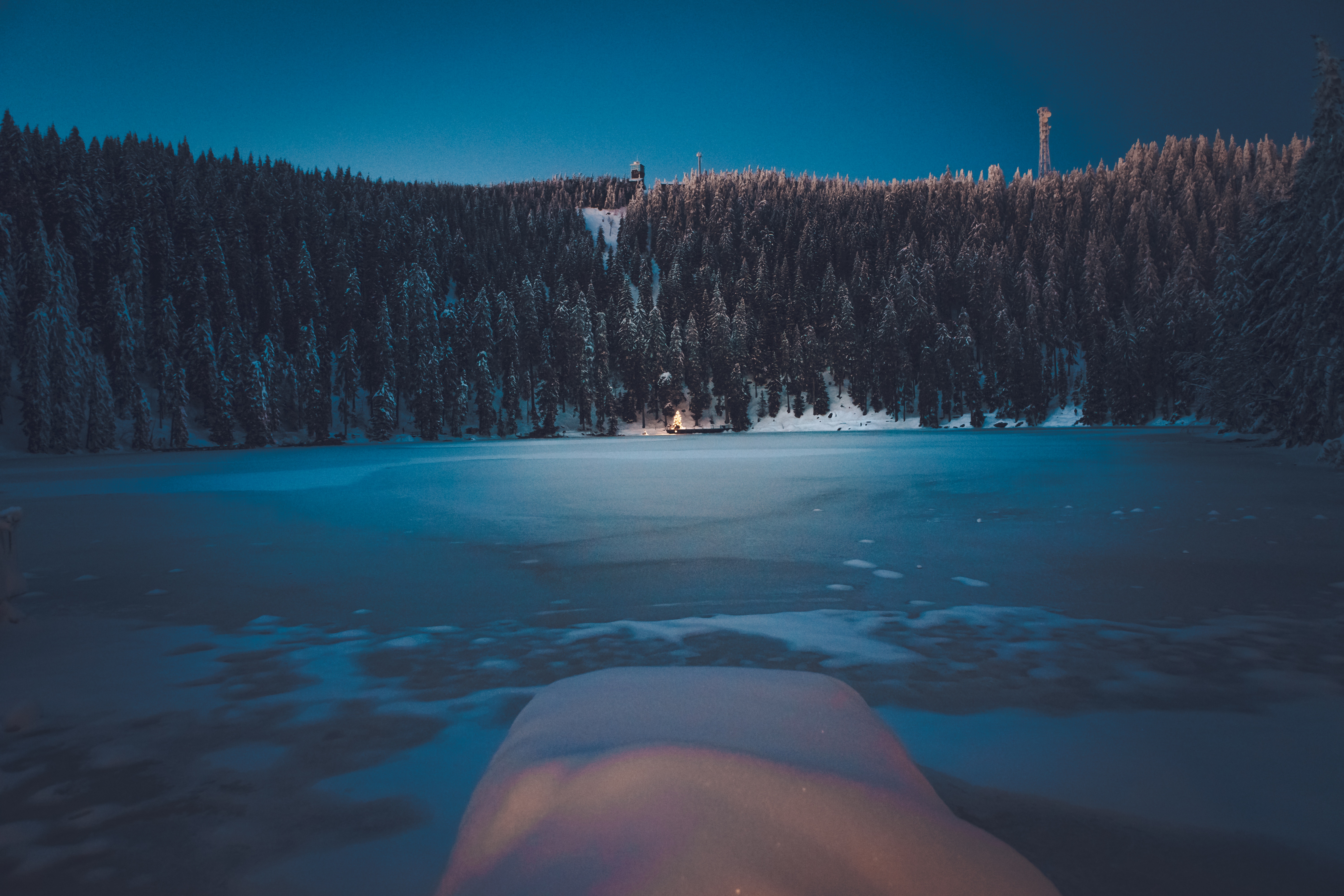 Forest Snowy Winter Mountains Wallpaper Hd Nature 4k - vrogue.co
