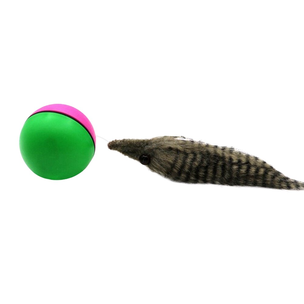 Pet Ball Toy Dog Motorized Funny Electric Rolling... – Grandado