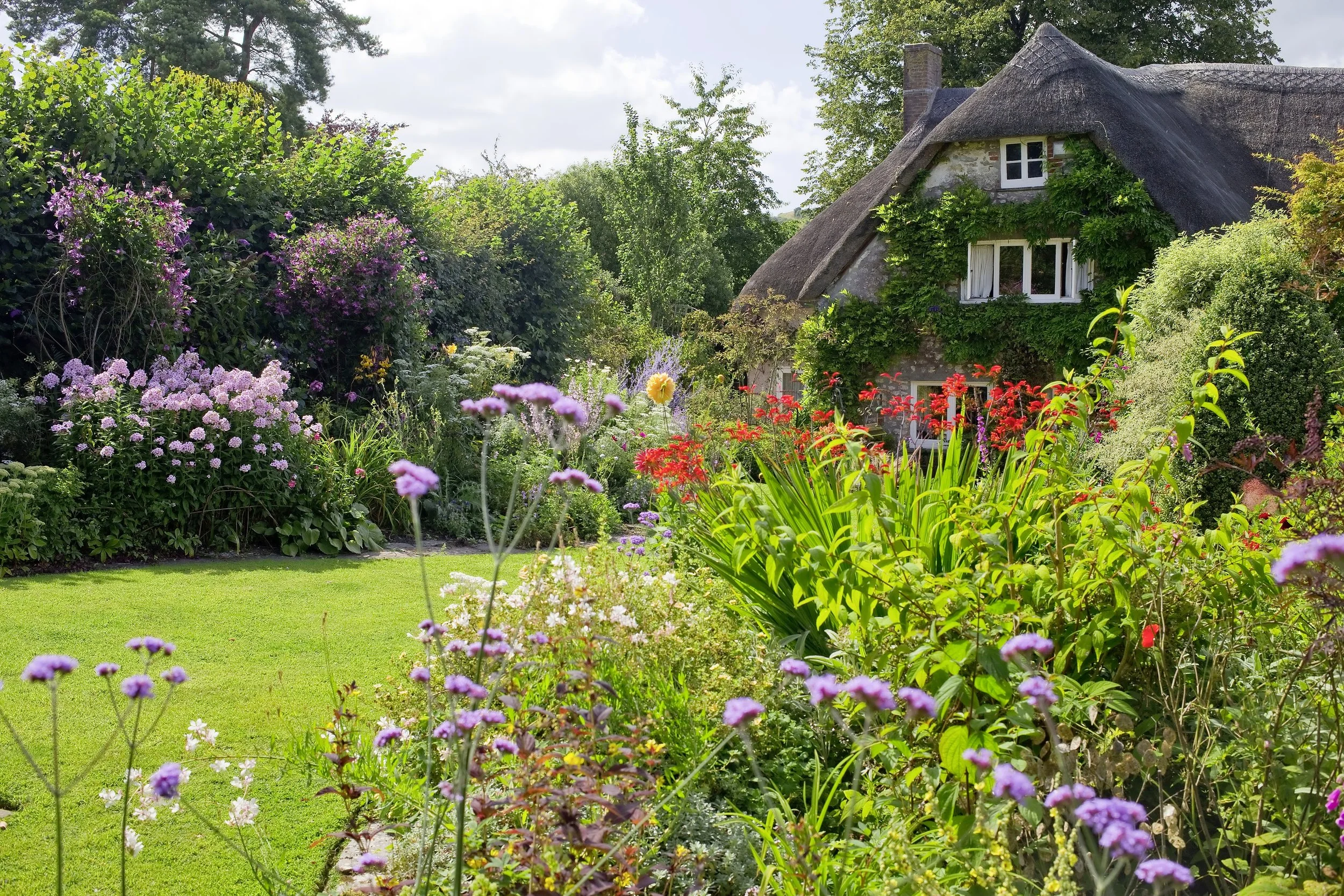 Garden Of The Week — Garden News