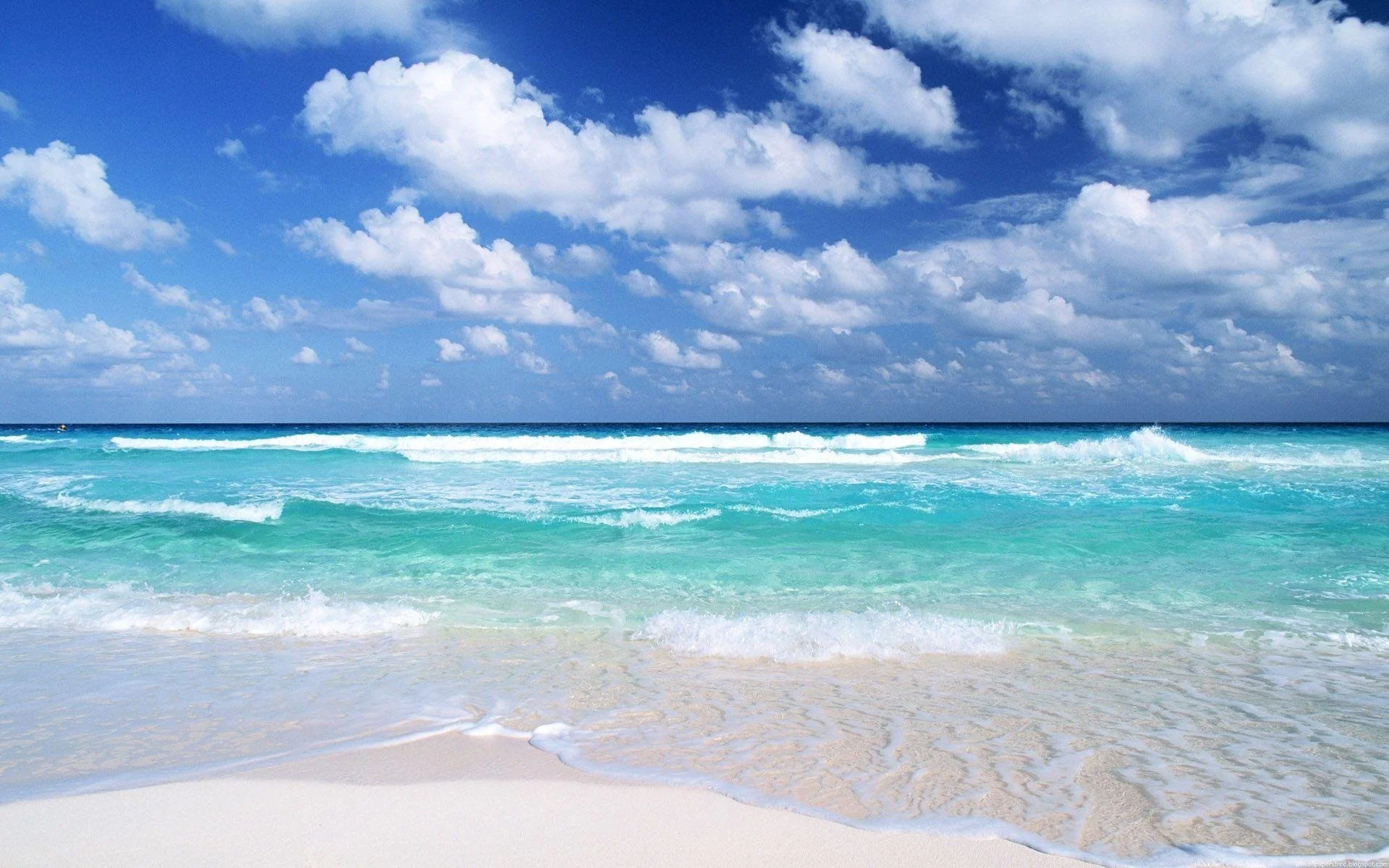 Angela Sagar, MD — Ocean Psychiatry, LLC