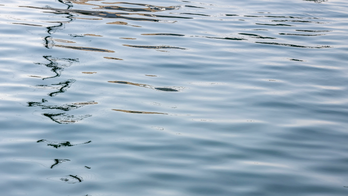 Lake Water Texture Background - Edit Online & Download Example | Template.net