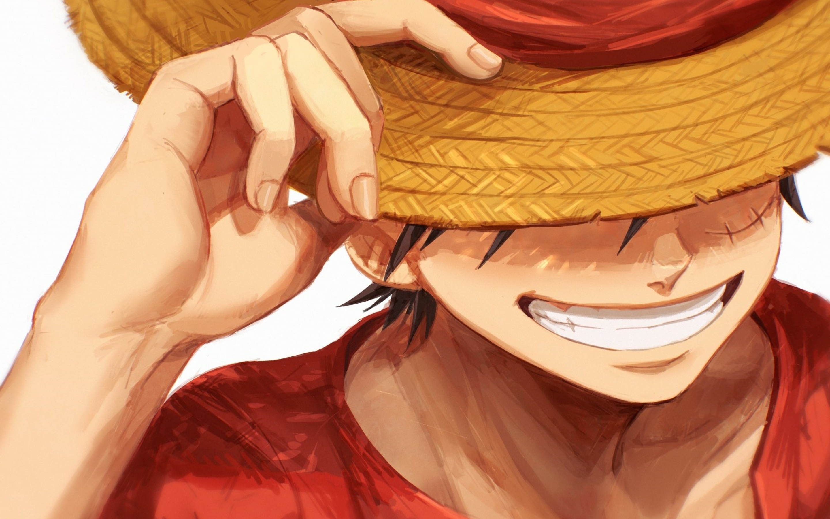 2880x1800 Resolution Anime One Piece HD Monkey Luffy Painting Macbook Pro Retina Wallpaper ...