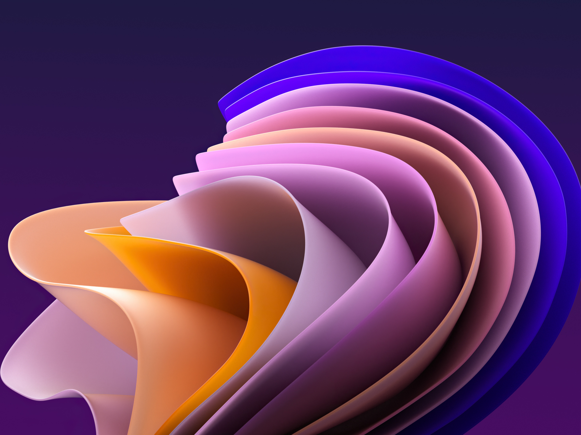1920x1440 Resolution Dark Windows 11 Flower 1920x1440 Resolution Wallpaper - Wallpapers Den