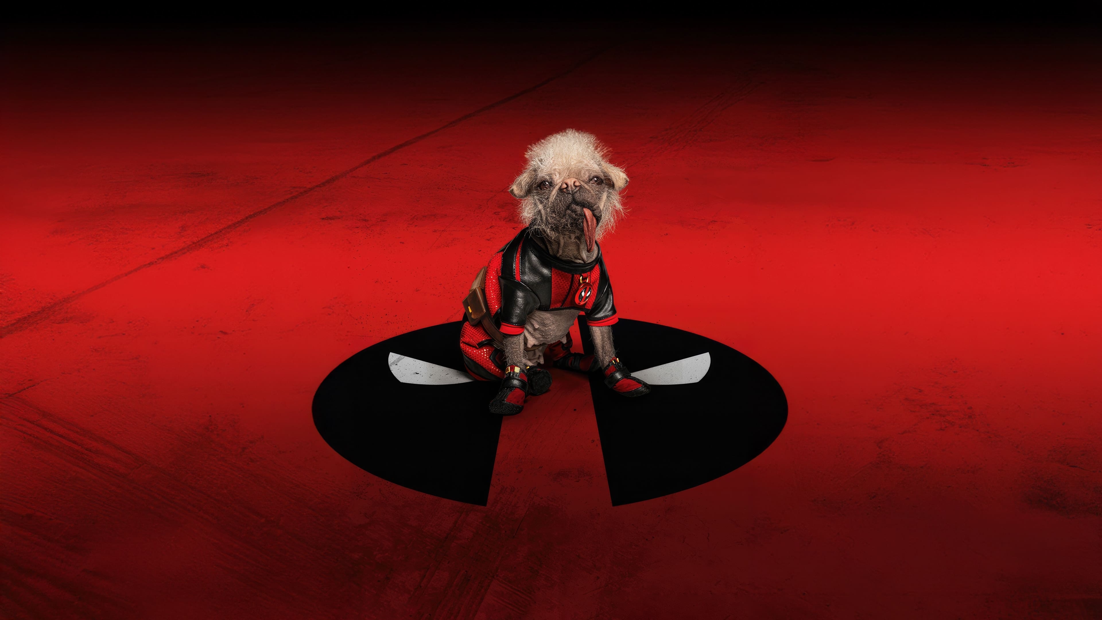 3840x2160 Resolution Deadpool Dog 4K Wallpaper - Wallpapers Den