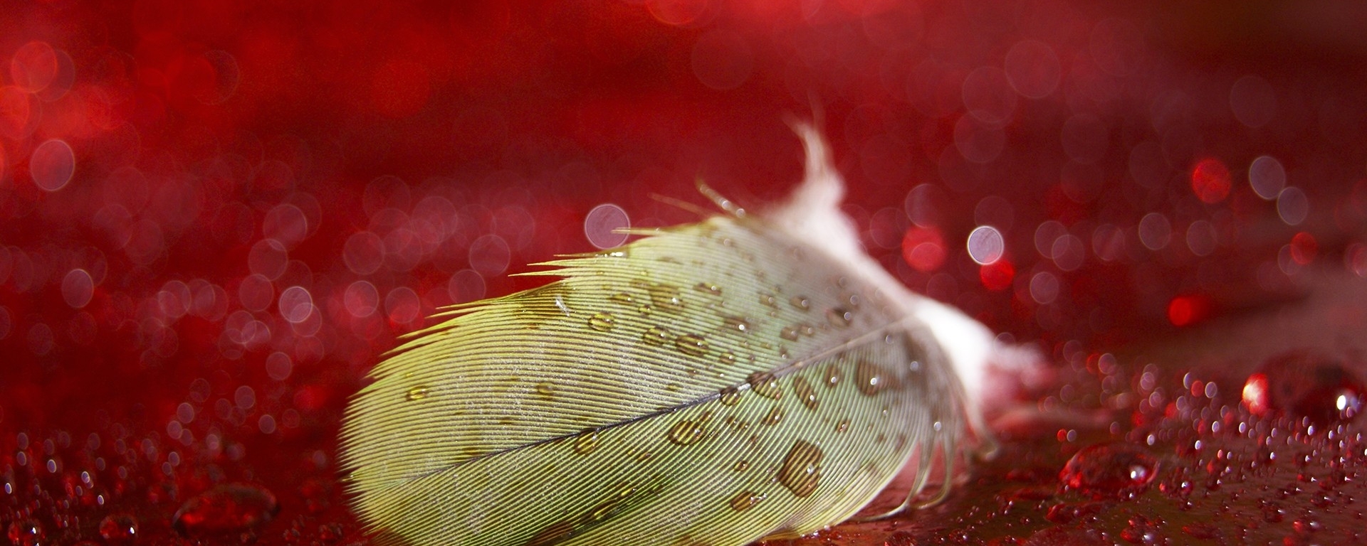 1920x768 Resolution Pen, Droplet, Surface 1920x768 Resolution Wallpaper - Wallpapers Den