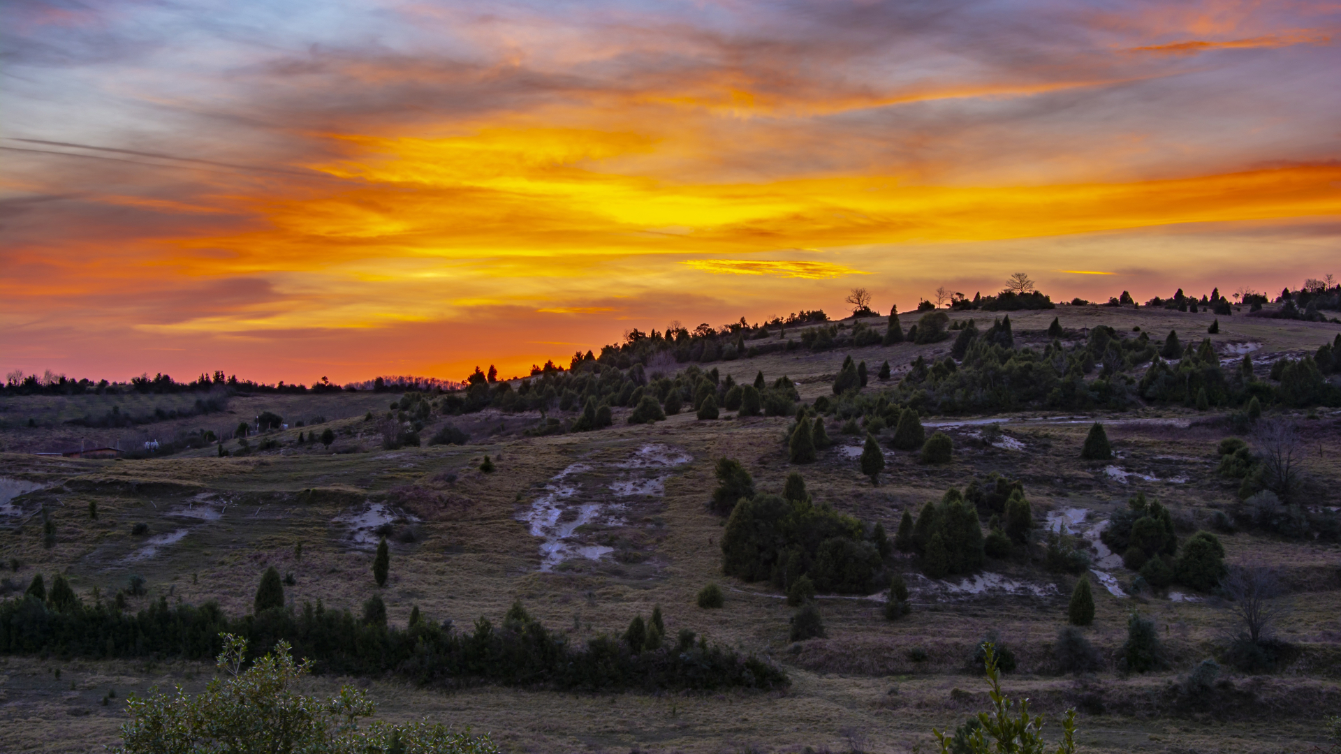 1920x1080 Resolution Surreal Landscape Sunset 1080P Laptop Full HD Wallpaper - Wallpapers Den