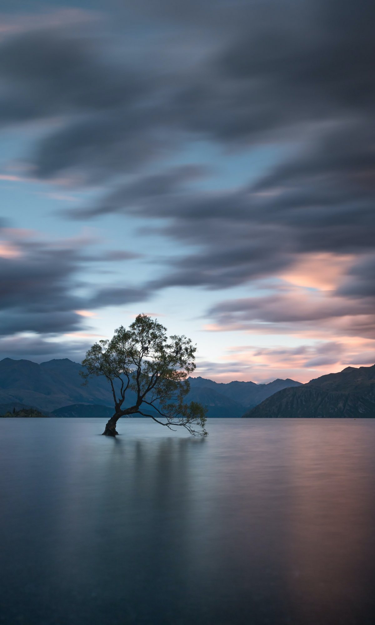 Lake Wanaka, Tree, Landscape Wallpaper 1200x2000 Samsung Galaxy Tab A7 10.4, S6 Lite / Huawei...