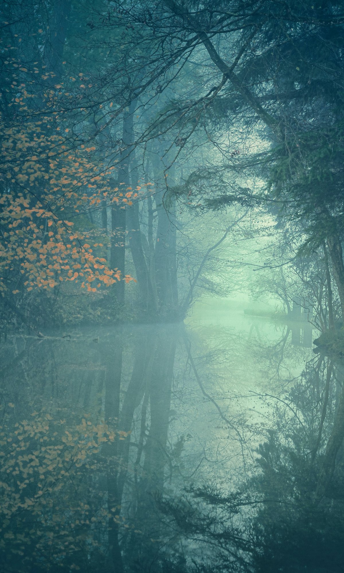 Landscape, Forest, Green Wallpaper 1200x2000 Samsung Galaxy Tab A7 10.4, S6 Lite / Huawei...