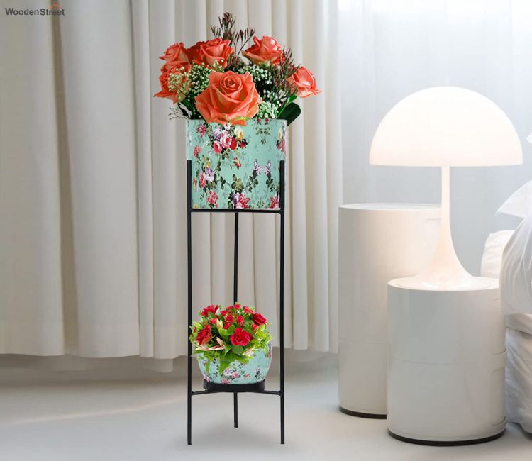 Living Room Plants Online India | Cabinets Matttroy
