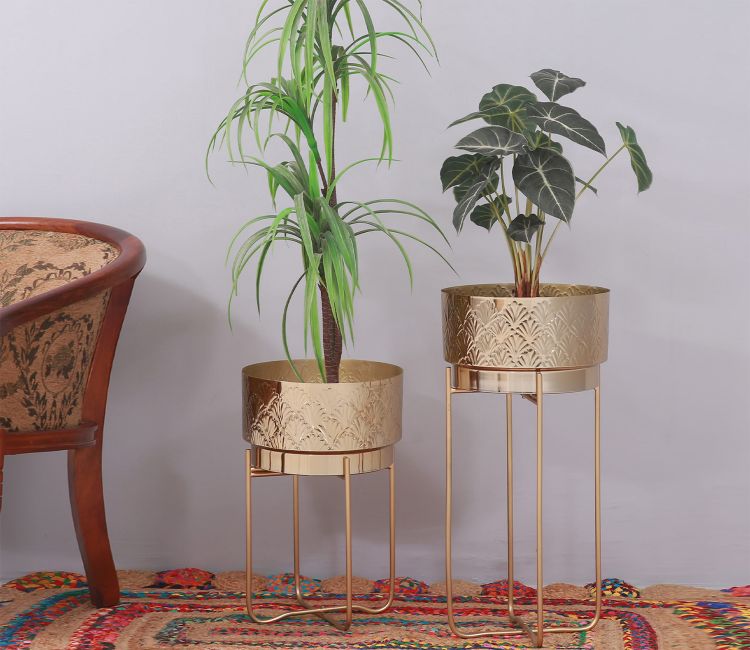 Living Room Plants Online India | Cabinets Matttroy