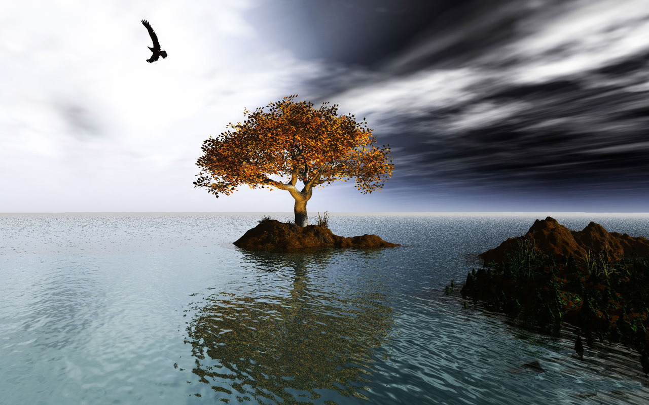 Nature - Random Wallpaper (4633301) - Fanpop