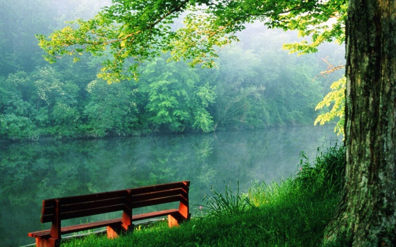 Beauty of nature - Random Wallpaper (4884759) - Fanpop