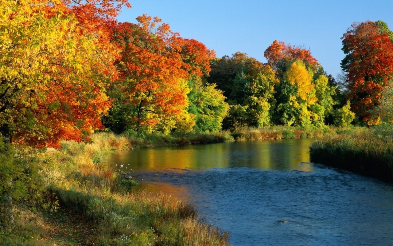 Nature - Random Wallpaper (4954543) - Fanpop