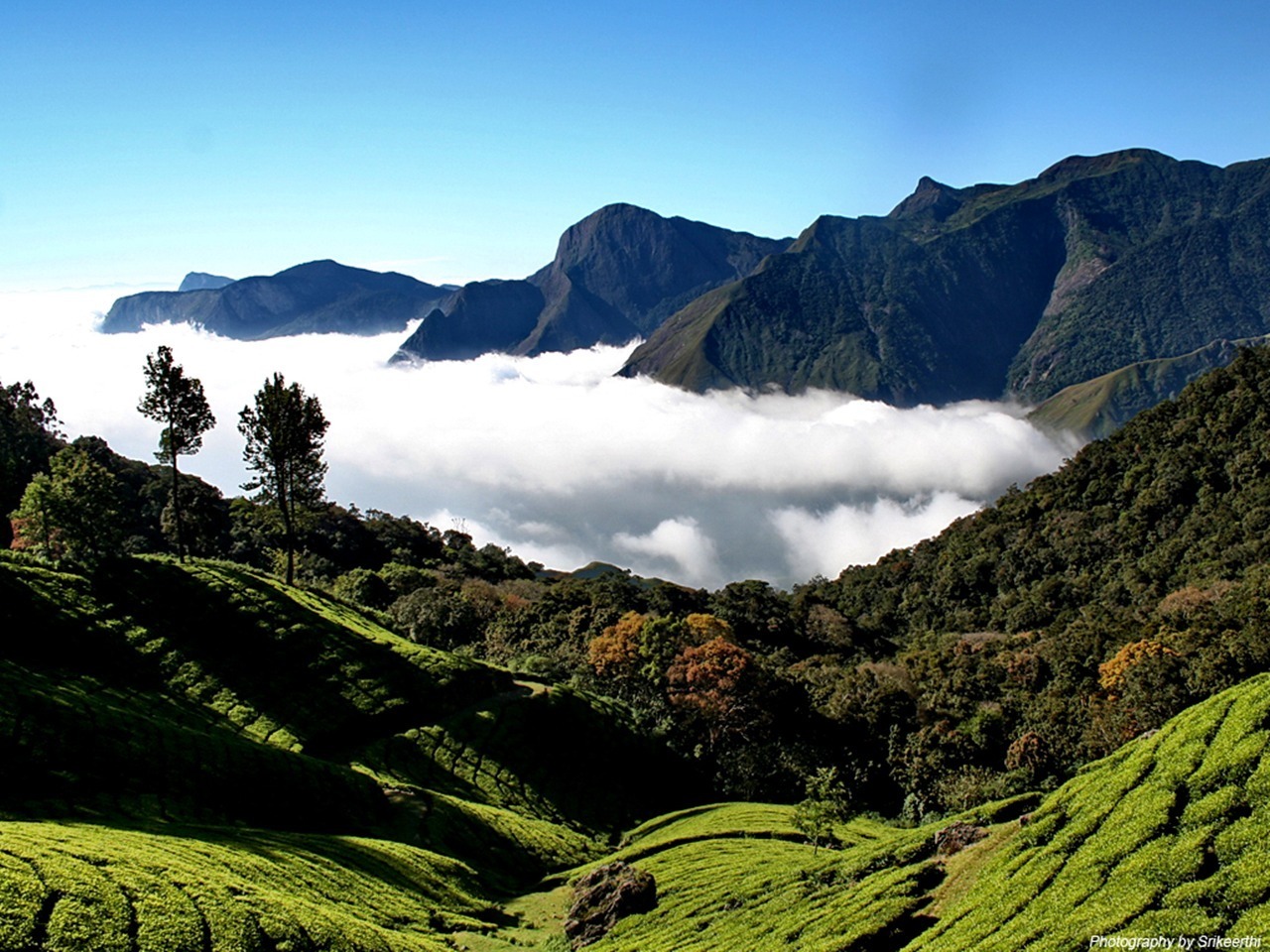 Amazing Nature Wallpapers - National Geographic Wallpaper (7896493) - Fanpop