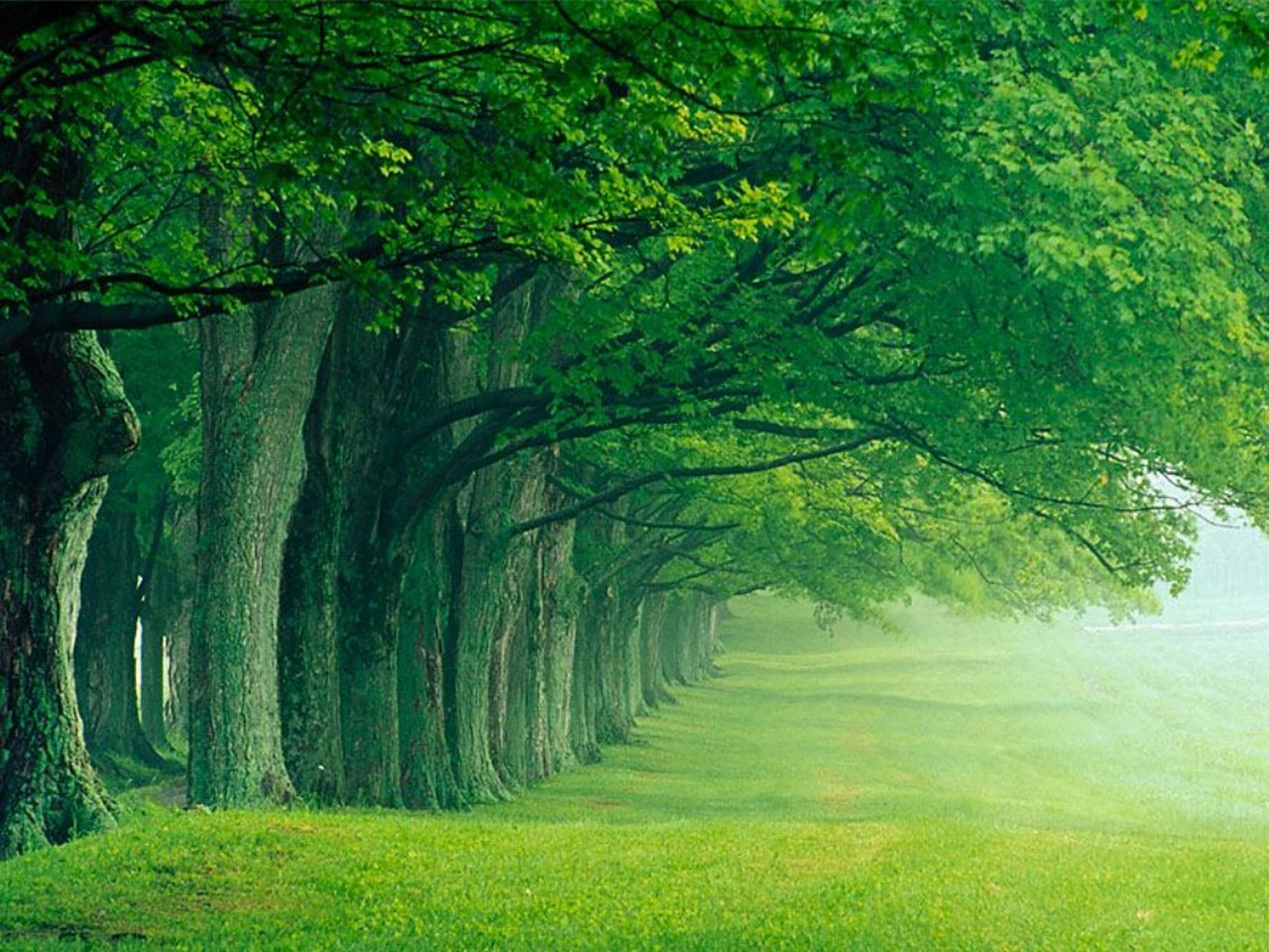 Amazing Nature Wallpapers - National Geographic Wallpaper (7896551) - Fanpop